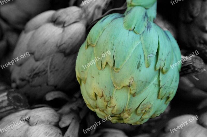 Artichoke Green Public Record Vegetables Market