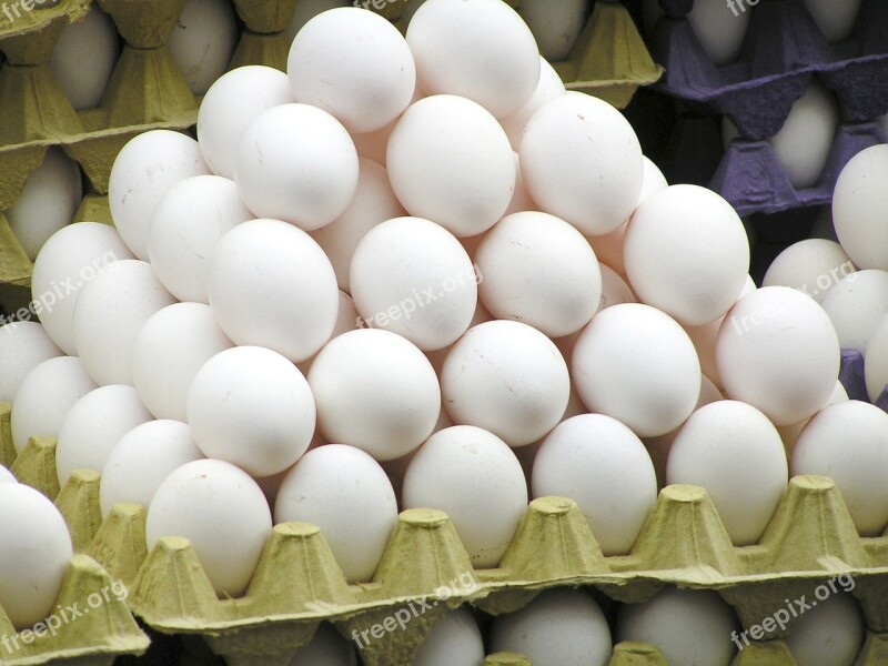 Egg Egg Carton Chicken Eggs Egg Packaging Stack