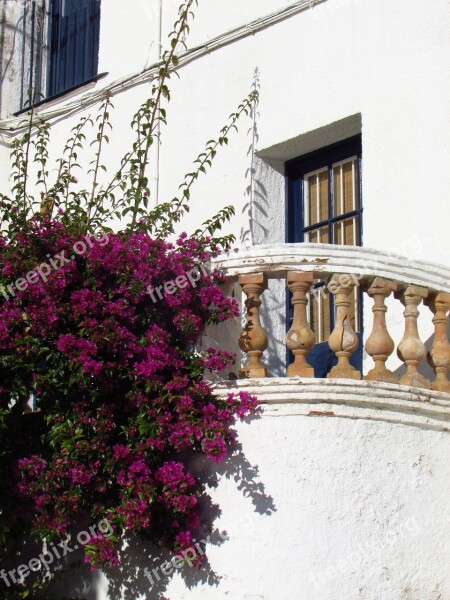 Cadaques Balcony Terrace Flower Costa Brava