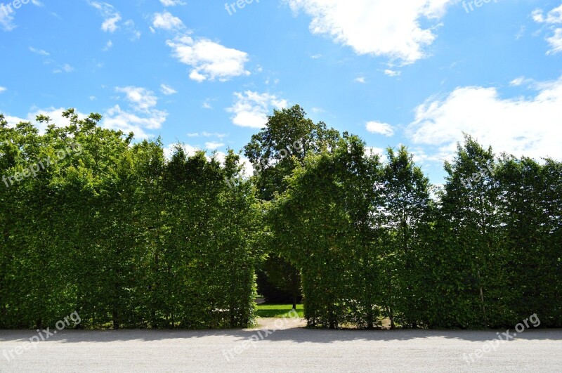 Vienna Schönbrunn Austria Park Trees