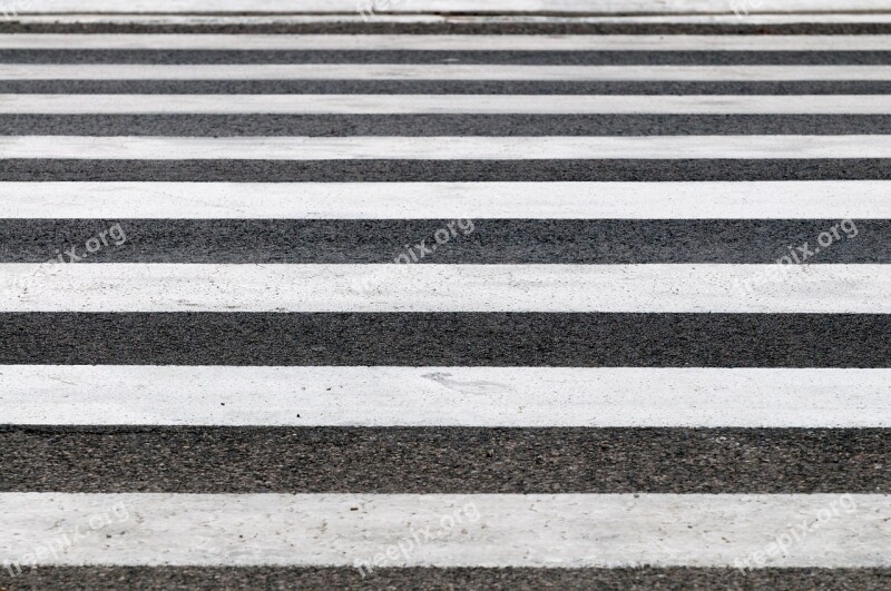 Zebra Crossings Road Striped Black