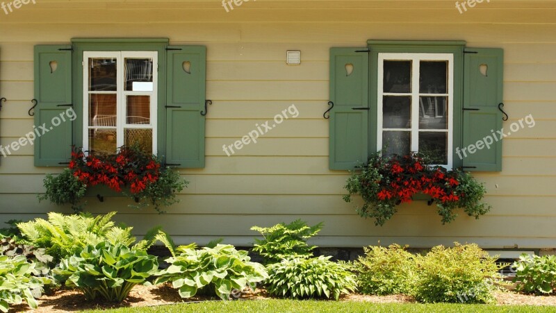 Windows Flower Québec Orleans Architecture