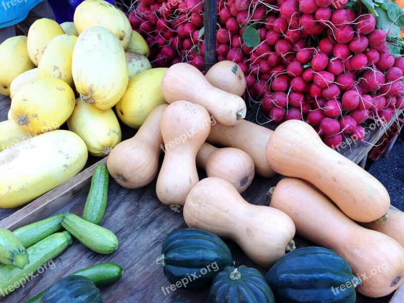 Farmers Market Vegetables Squash Radishes Radish