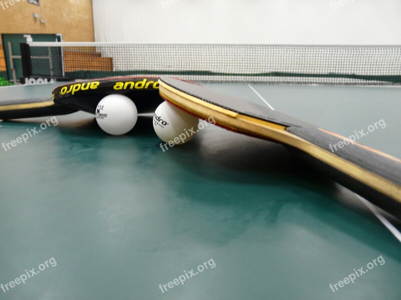 Table Tennis Ping-pong Bat Table Tennis Bat Sport