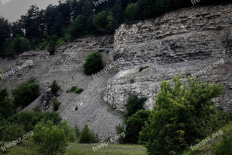 Quarry Scree Nature Plant Fouling