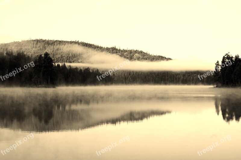 Lake Fog Symmetry Free Photos