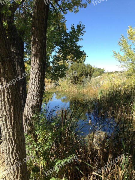 Landscape Southwest Scenic Pond Outdoor