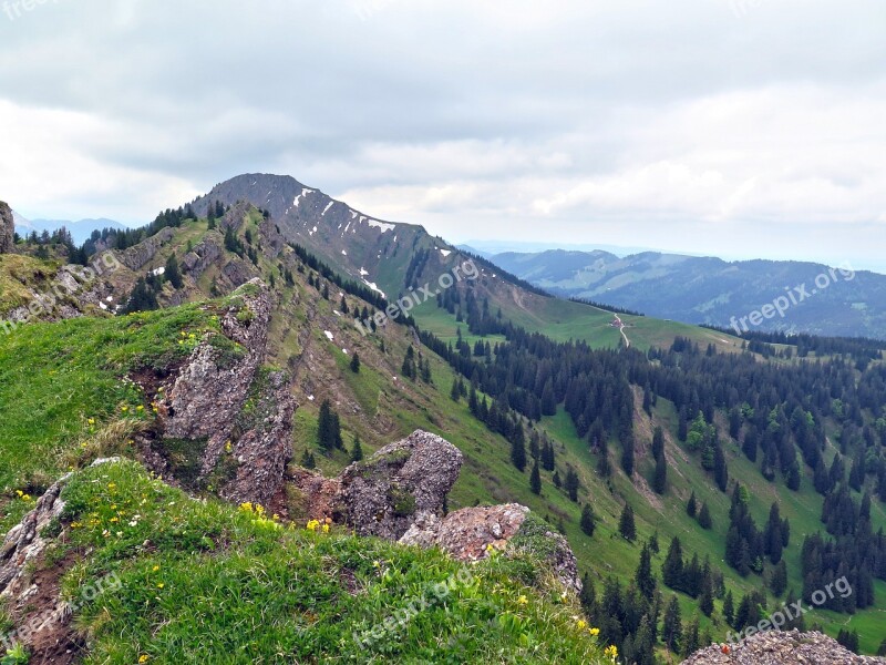 Allgäu Mountains Rock Alpine Meadow