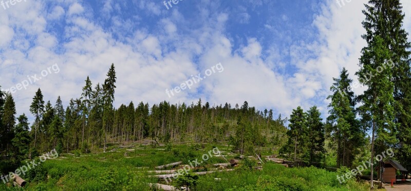 Landscape Nature Forest Clouds Polom