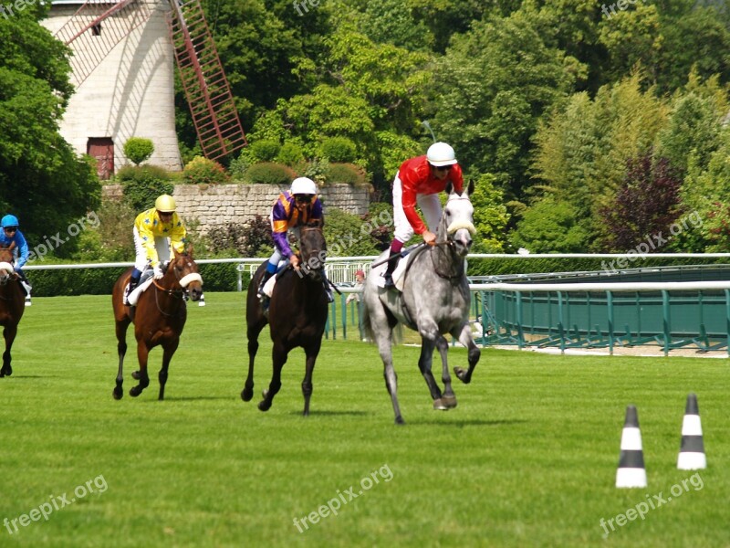 Race Horses Vincennes Paris Horseback Riding