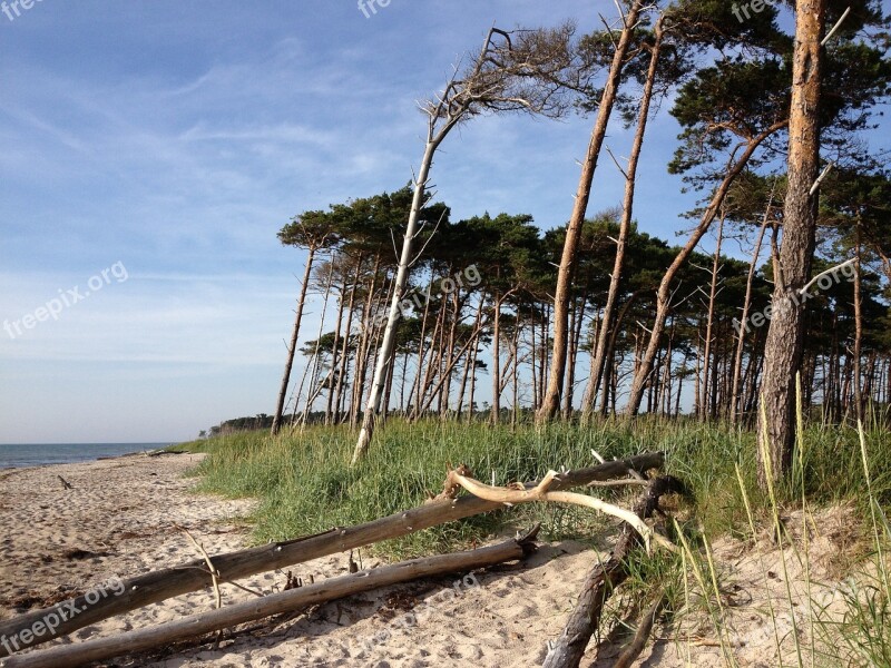 Baltic Sea Lake Beach Sea Bank