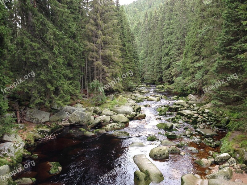 Water Stones Stream Nature šumava