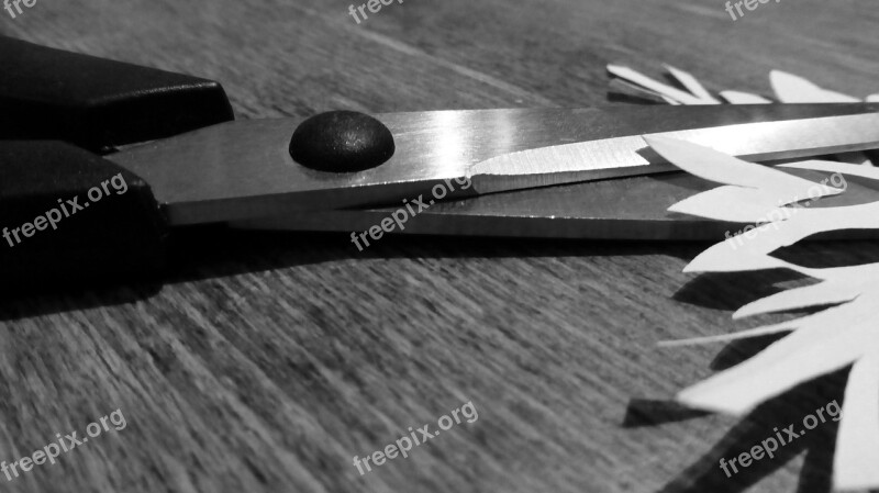 Scissors Cut Paper Tool Sharp