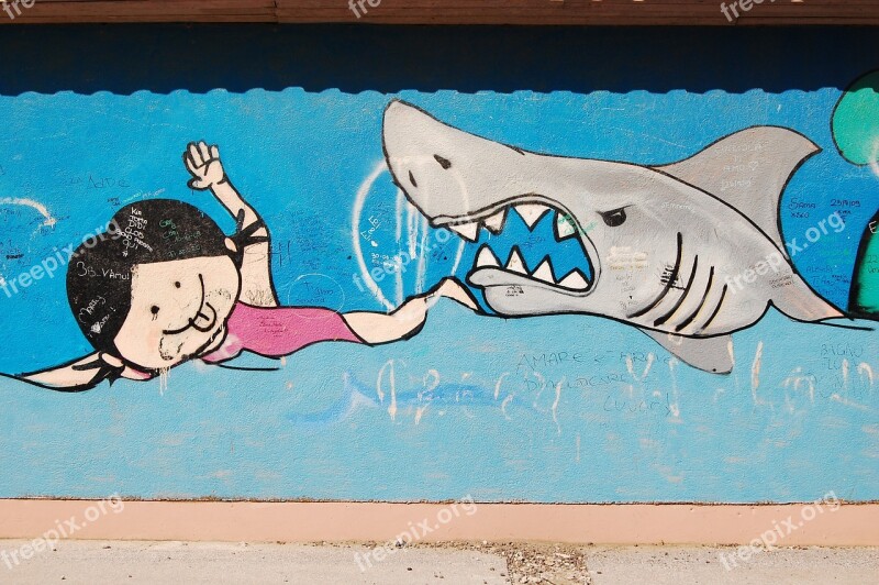 Shark Graffiti Italy Free Photos