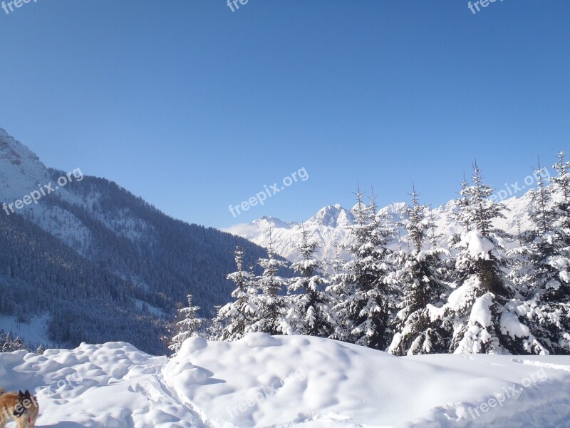 Landscape Snow Nature Winter Landscape Snowy