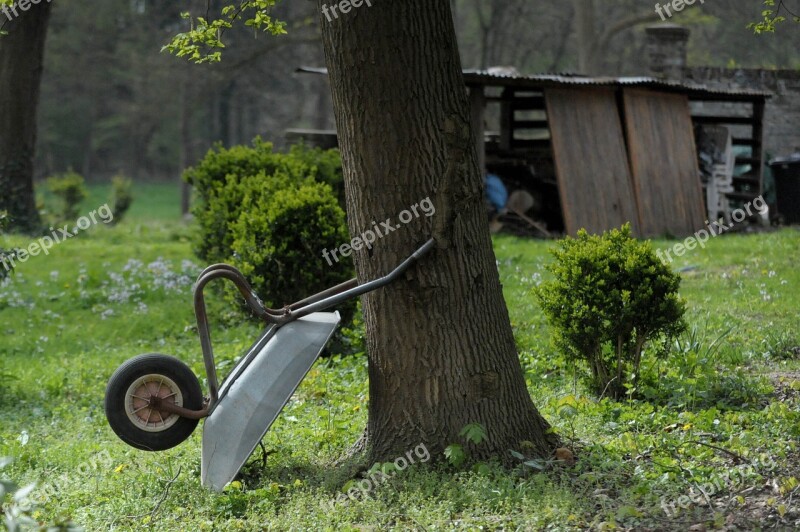 Wheelbarrow Tree Garden Park Gardening