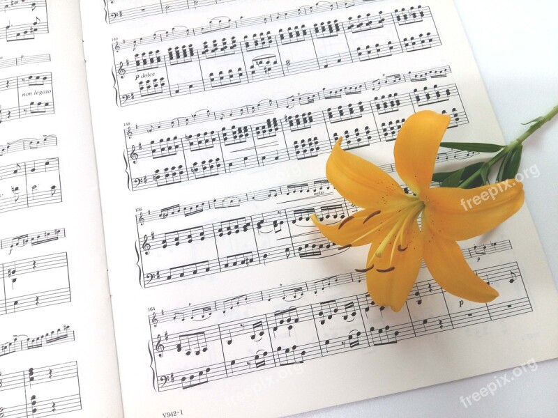 Sheet Music Yellow Naira Flowers Free Photos