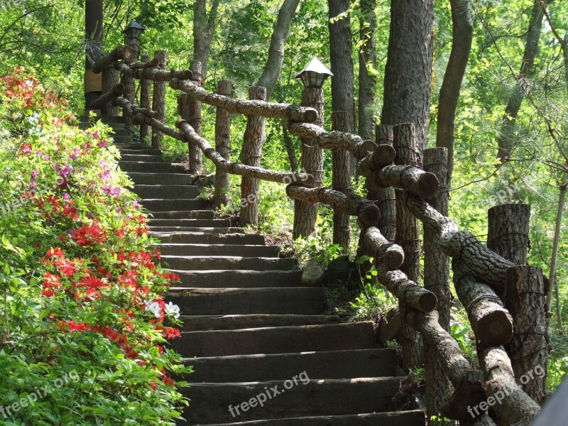 Stairs Woodland Stairs Wooden Stairs Free Photos