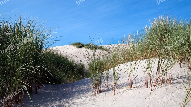 Dune Sand Dune Sand Free Photos