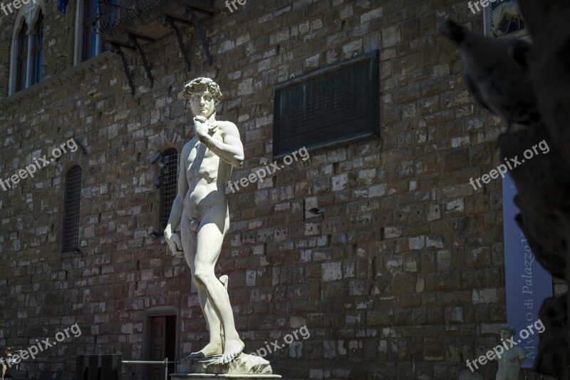 David Statue Florence Europe Italy