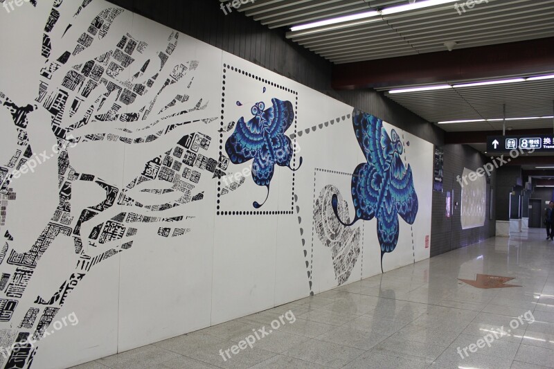 Street Photography Metro Butterfly Pattern Free Photos