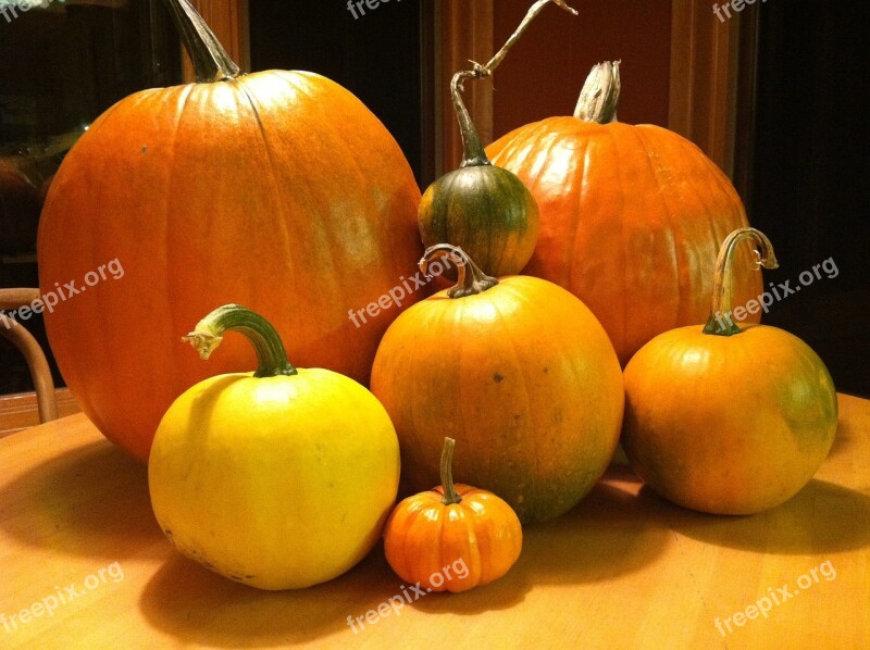 Pumpkin Fall Harvest Orange Autumn