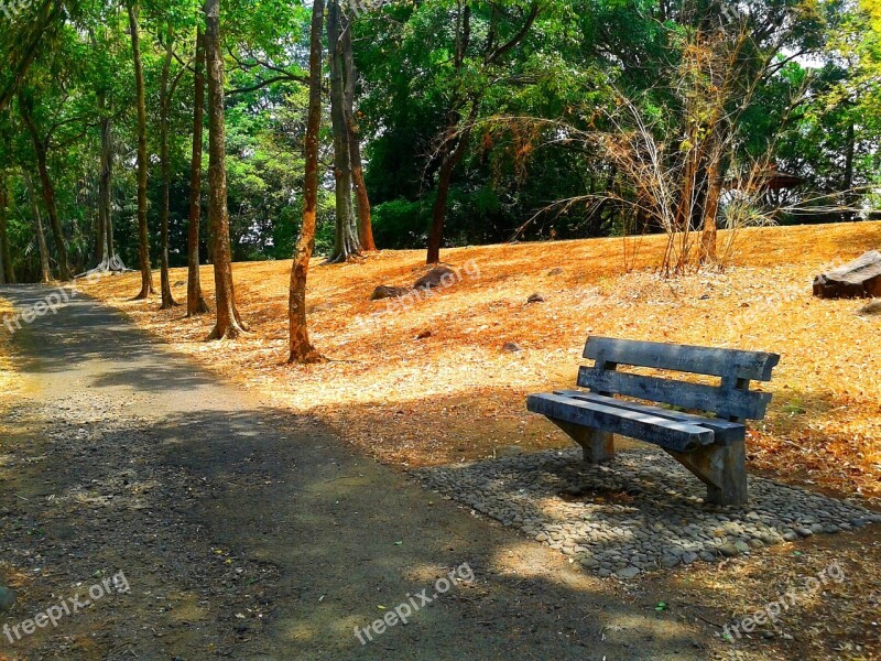 Bench Garden Outdoor Relax Wood