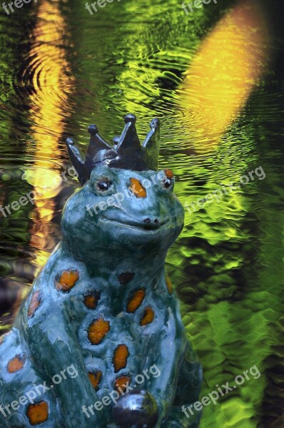 Frog Prince Figure Fairy Tales Crown Pond