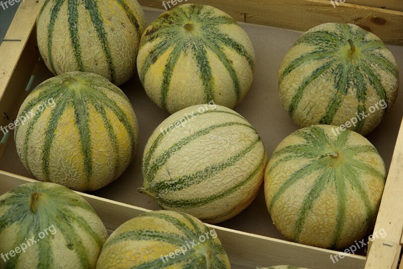 Fruit Market Melons Free Photos