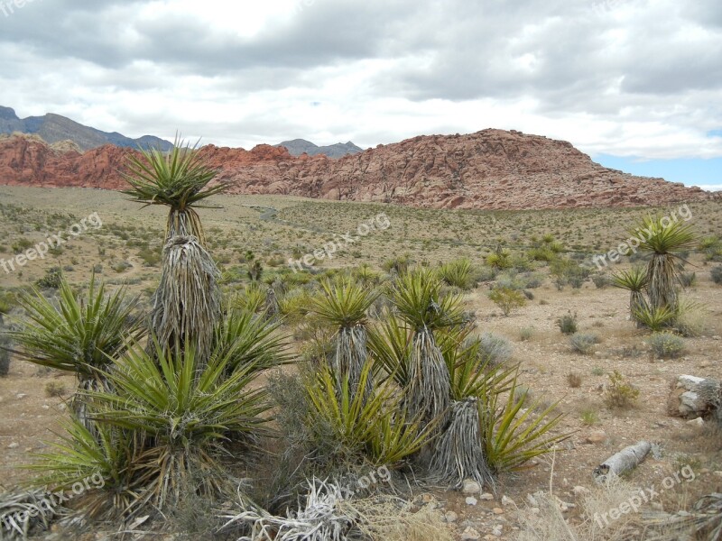 Mojave Desert Mountains Canyon Trails