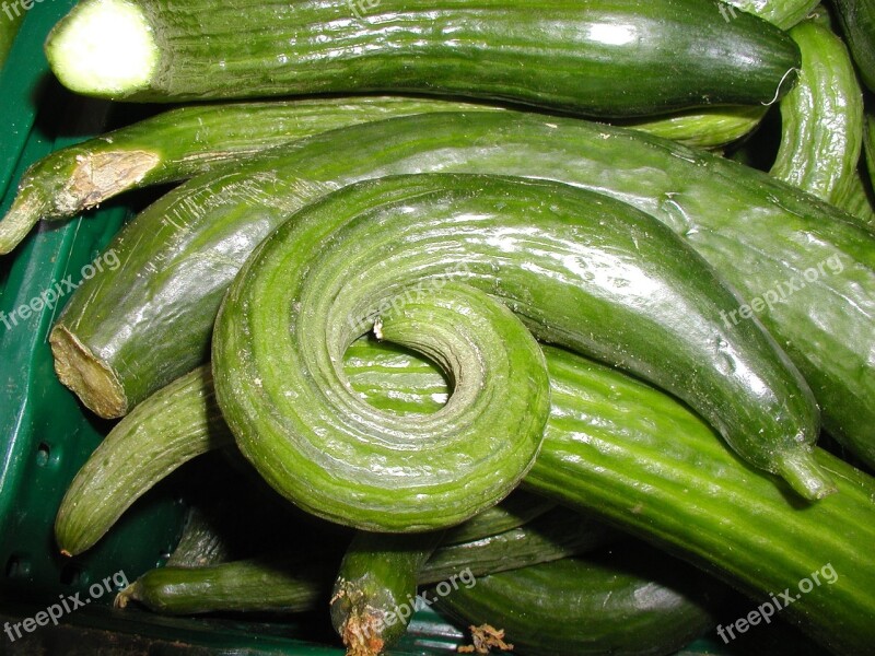 Cucumbers Snake Cucumber Green Delicious Garden Cucumber