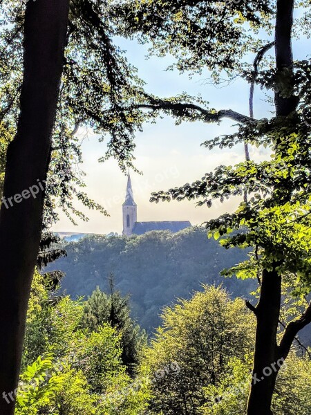 Church Clausen Palatinate Forest Nature Forest