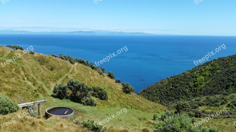 Makara Wellington Sea Free Photos