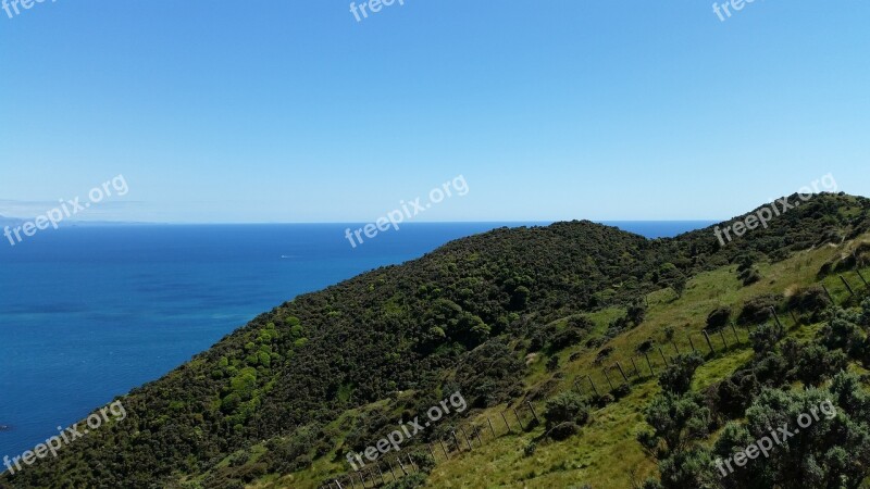 Makara Wellington Sea Free Photos