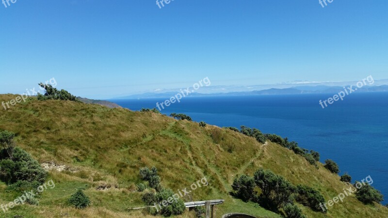 Makara Wellington Sea Free Photos