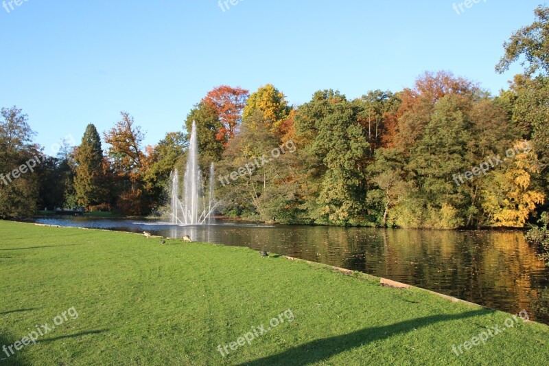 Grass Trees Nature Landscape Outdoor