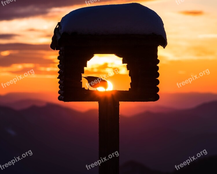 Bird Sunset Pastel Birdhouse Snow