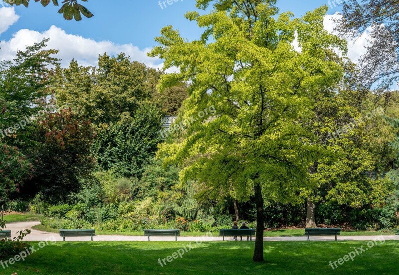 Paris Garden Champs Elysees Couple Tree