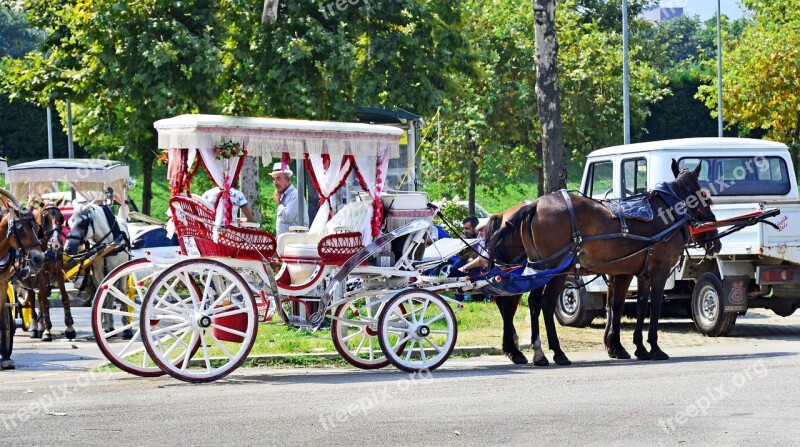 Phaeton Tourist Vehicle Nostalgia Transportation