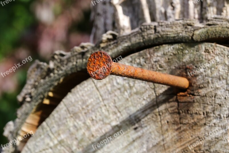 Nail Rust Wood Weathered Free Photos