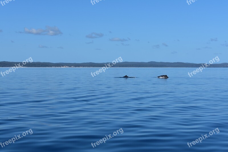 Ocean Sea Water Blue Travel