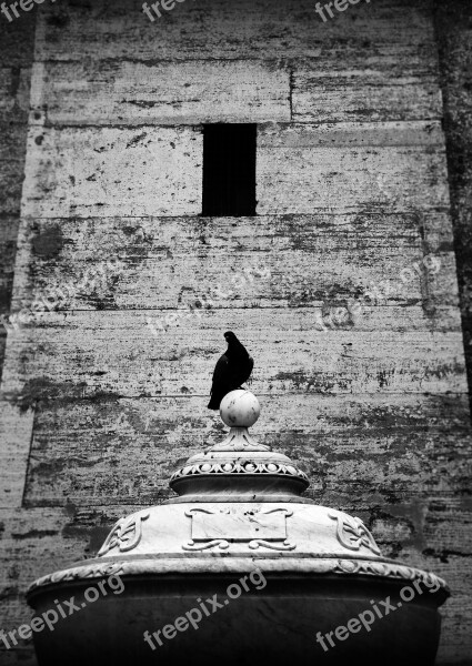 Fountain Pegean Vatican Italy Rome