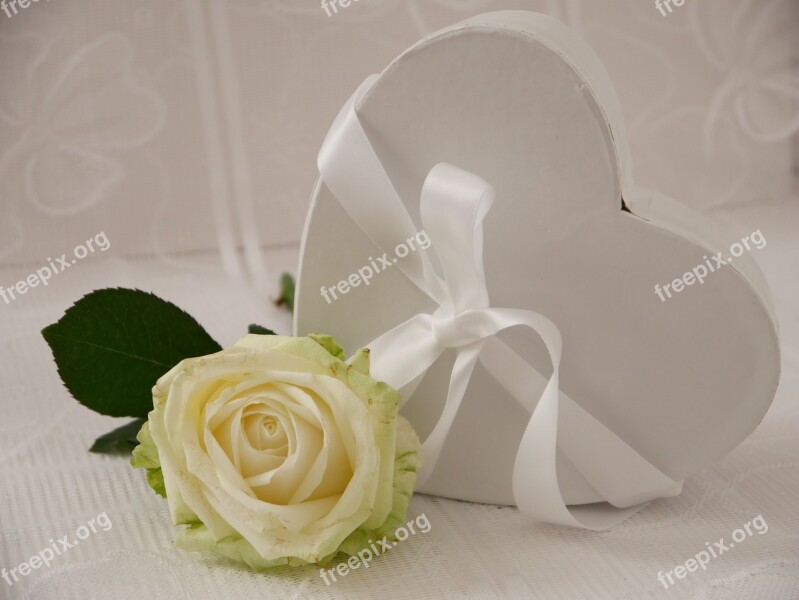 Love Heart Rose White Valentine