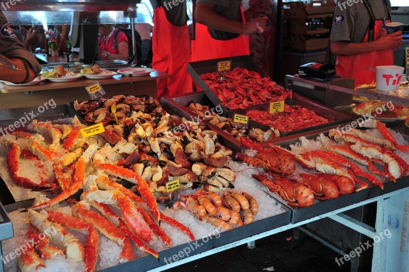 Norway Mountains Fish Market Free Photos