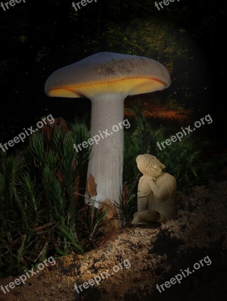 Mushroom Screen Light Buddha Rest