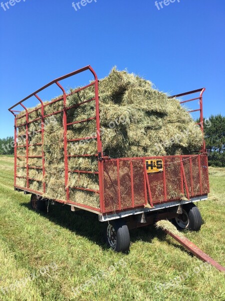 Farming Hay Making Farm Agricultural Summer