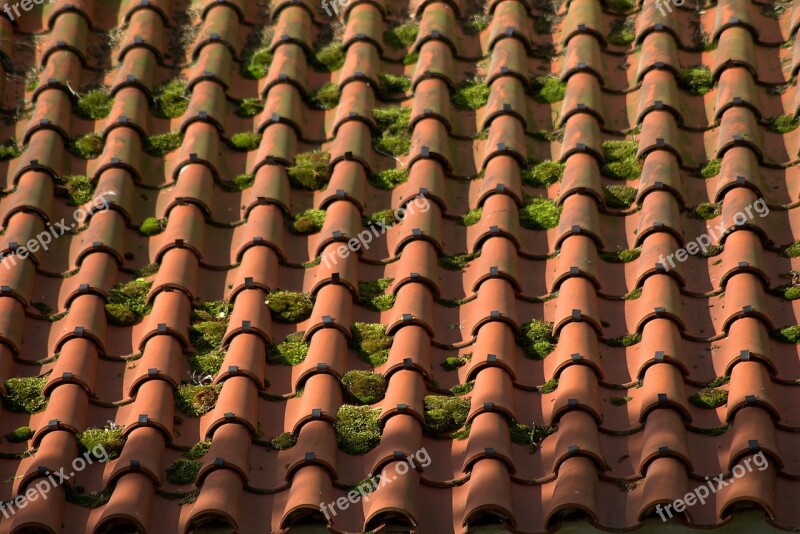 Red Tile Weathered Brick Pattern