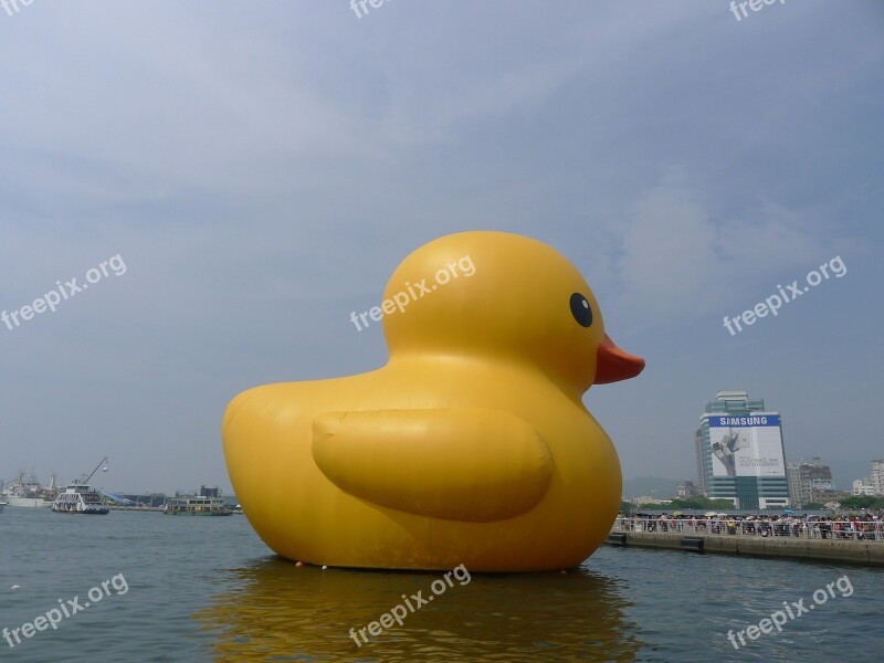 Duck Yellow Duck Kaohsiung Harbor Free Photos