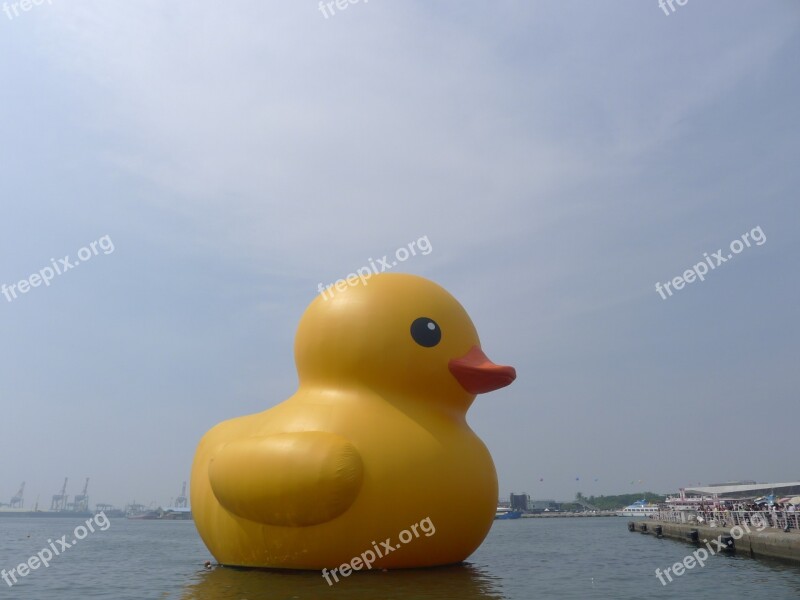 Duck Yellow Duck Kaohsiung Harbor Free Photos