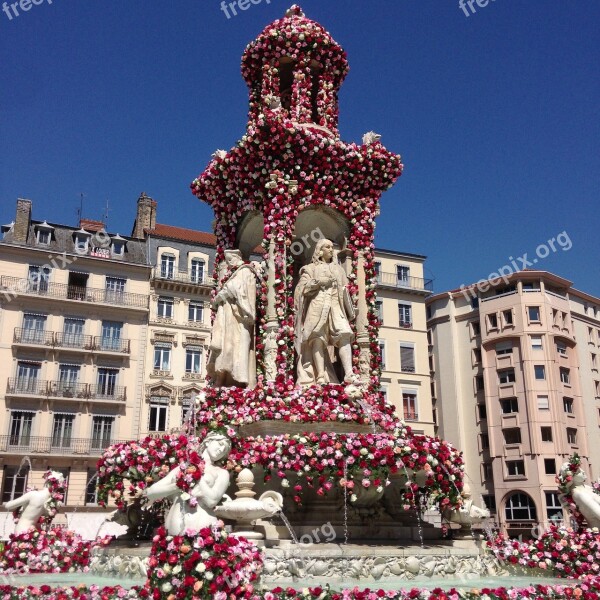 Fountain Monument Flowers Roses Lyon